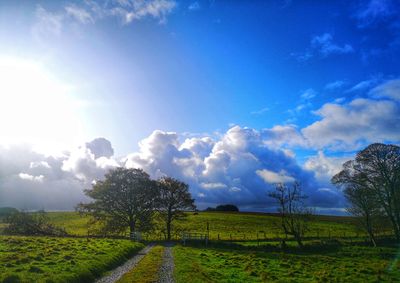 Scenic view of field against sky