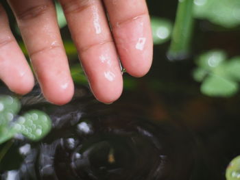 Close-up of hand on wet leaf