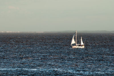 Sailboat sailing in sea against sky