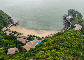 High angle view of trees by sea