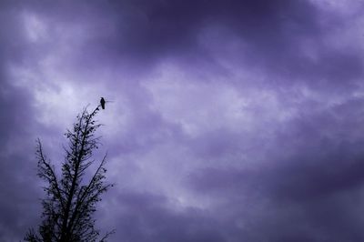 Low angle view of cloudy sky