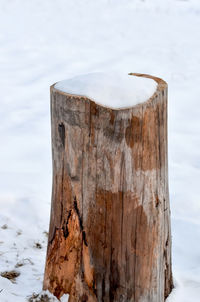 Close-up of wooden log on frozen lake against sky