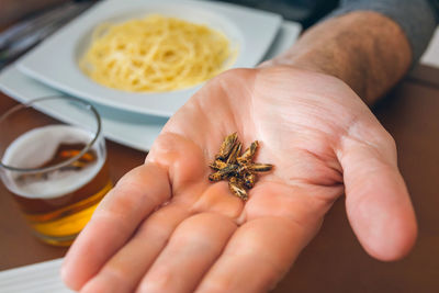 High angle view of person holding food
