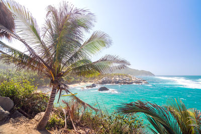 Scenic view of sea against clear sky