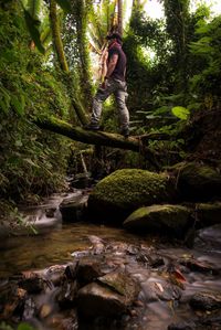 Man in river amidst trees in forest