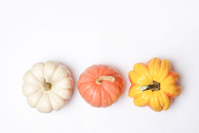 Close-up of pumpkins against white background