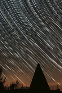 Low angle view of silhouette trees against sky at night
