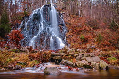 Scenic view of radau waterfall in forest