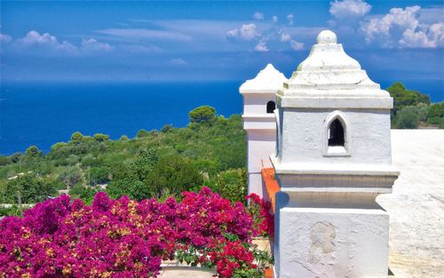 Flowering plants by building by sea against sky