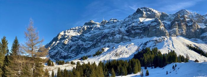 Panoramic view of pine trees and snowcapped mountains against sky