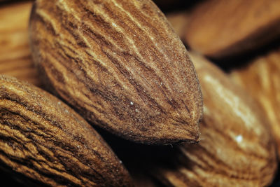 Close-up of bread