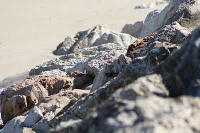 Close-up of rocks on beach