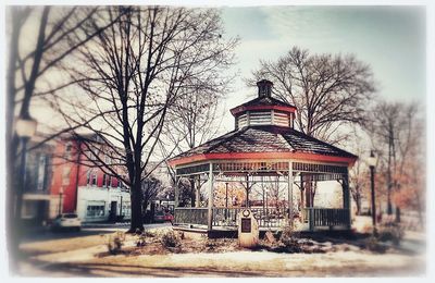 Bare trees against built structure in winter