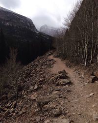 Bare trees on mountain against sky