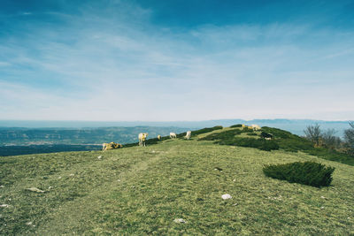 Scenic view of mountain