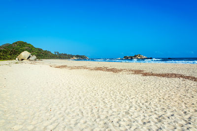 Scenic view of beach and sea against clear blue sky at tayrona national park