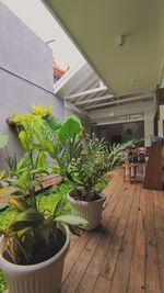 Potted plants on table by building