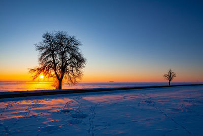 Empty road through snow-covered field after a blizzard at sunset. 