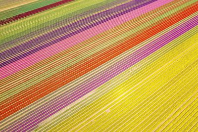 Full frame shot of colorful fabric