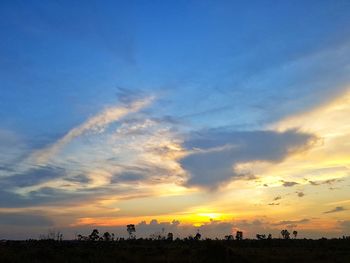 Silhouette trees against sky during sunset