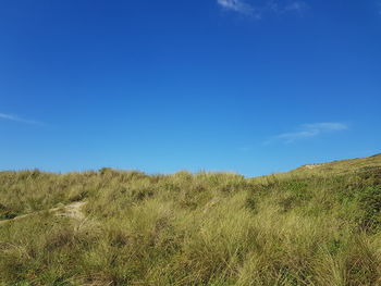 Scenic view of field against blue sky