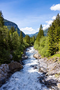 Stream flowing amidst trees against sky