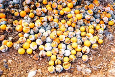 Full frame shot of oranges