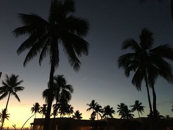 Silhouette palm trees against sky during sunset