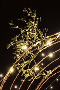 Low angle view of illuminated lights at night