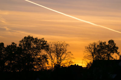 Silhouette trees against sky during sunset