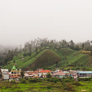 Houses on field by trees against sky