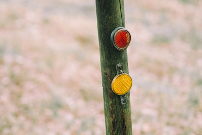 Close-up of road reflectors on wooden post