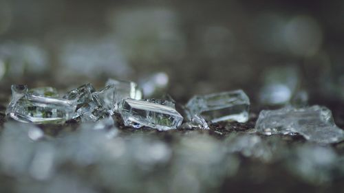 Ice cubes on floor