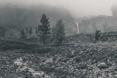 Black and white image from calbuco region devastated by the volcano in south of chile waterfall tree