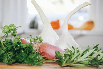 Close-up of garlic and onions with herbs on table