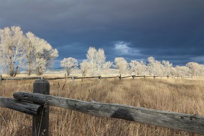 Fence on field against sky