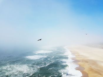 Praia do morte, nazaré portugal 