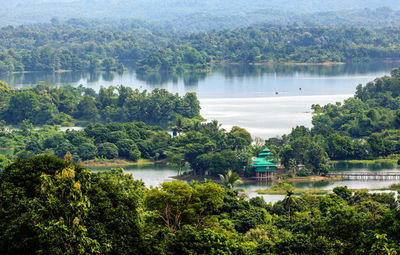 High angle view of trees in lake