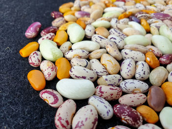 High angle view of multi colored kidney beans, legume family 