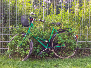 Bicycle parked by tree