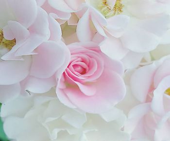 Close-up of pink rose bouquet