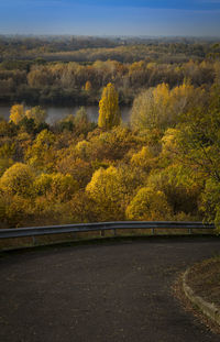 Scenic view of river amidst trees against sky during autumn