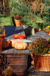 Orange round pumpkins lie on the black wooden steps in front of the entrance vertical image.