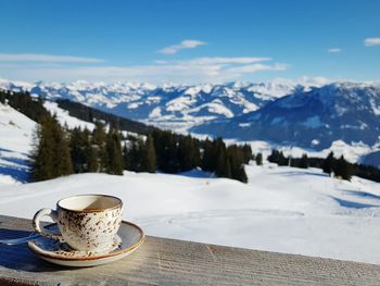 Snow covered coffee cup by tree against sky