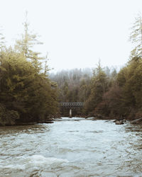 Scenic view of river amidst trees against clear sky