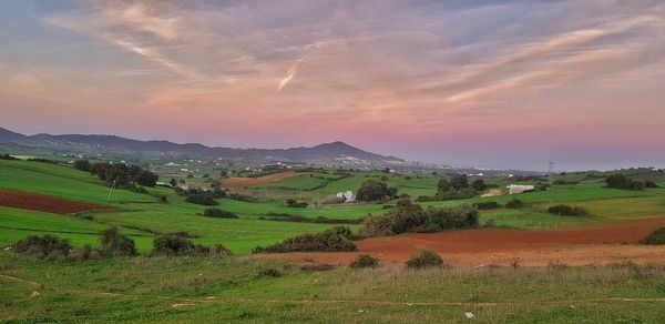 Scenic view of agricultural field against sky during sunset