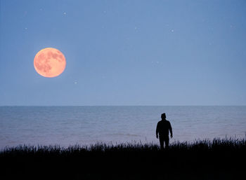 Rear view of silhouette man by sea against sky