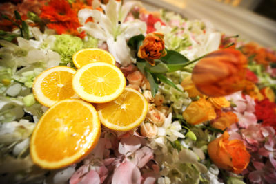 Close-up of orange fruits on plant