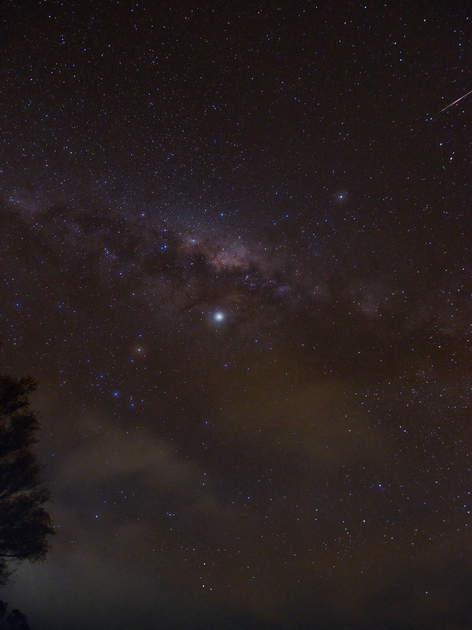 LOW ANGLE VIEW OF STAR FIELD AGAINST SKY