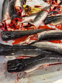 High angle view of fish for sale at market stall